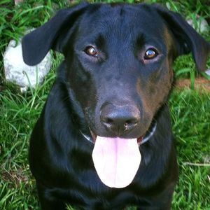 Meet your Posher, Tricia